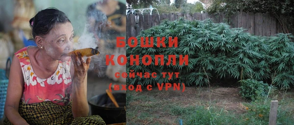 не бодяженный Бородино